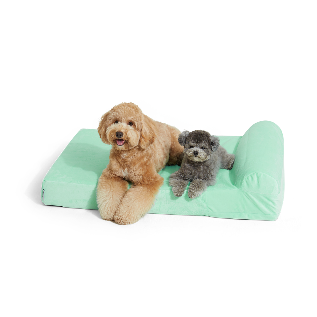 ที่นอนสุนัข Binky Barker