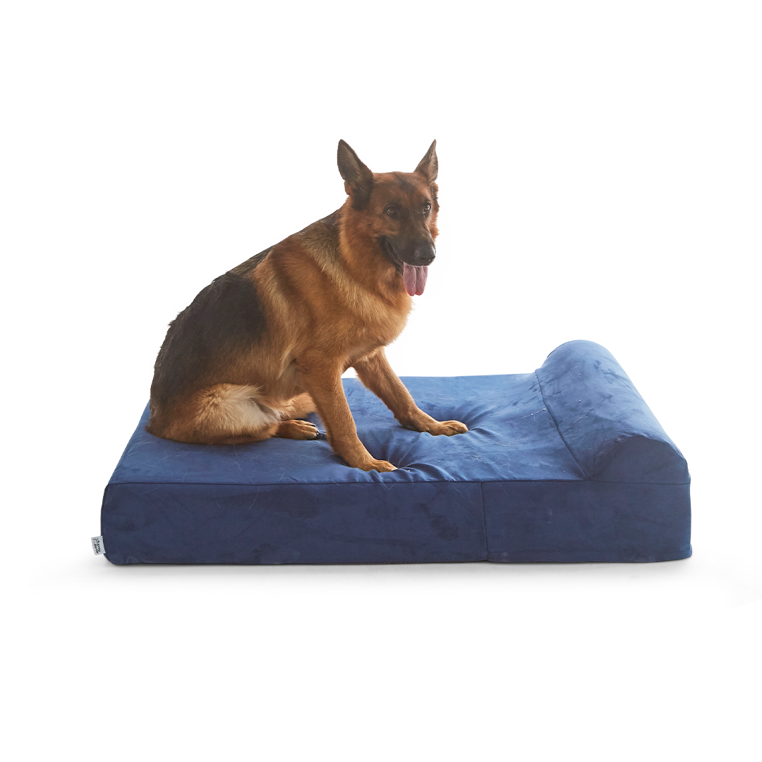 ที่นอนสุนัข Binky Barker