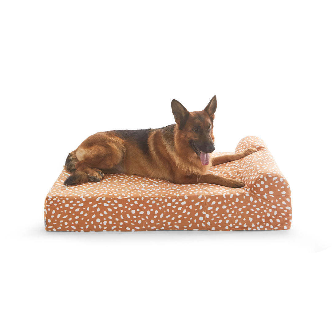 ที่นอนสุนัข Binky Barker