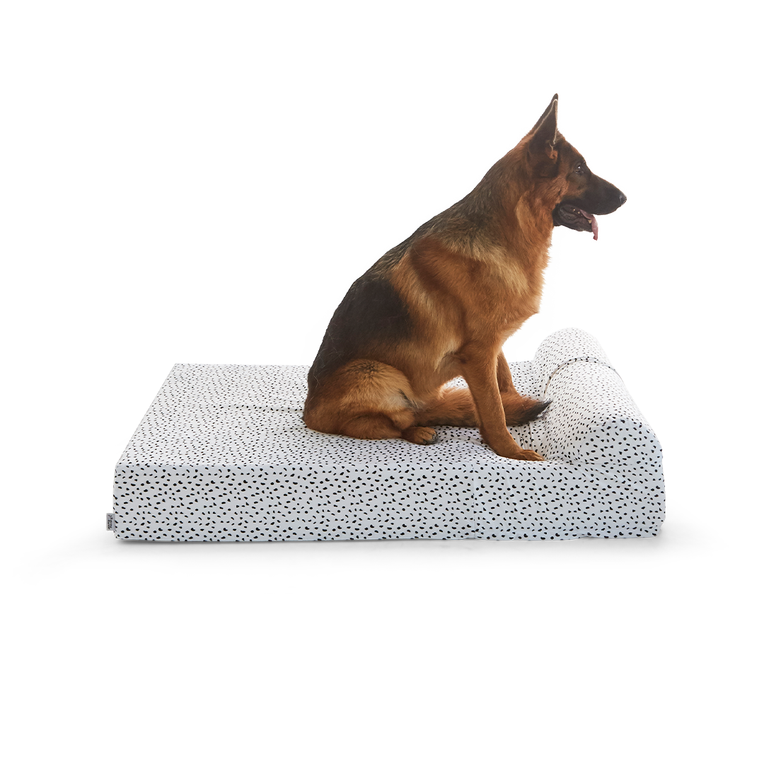 ที่นอนสุนัข Binky Barker