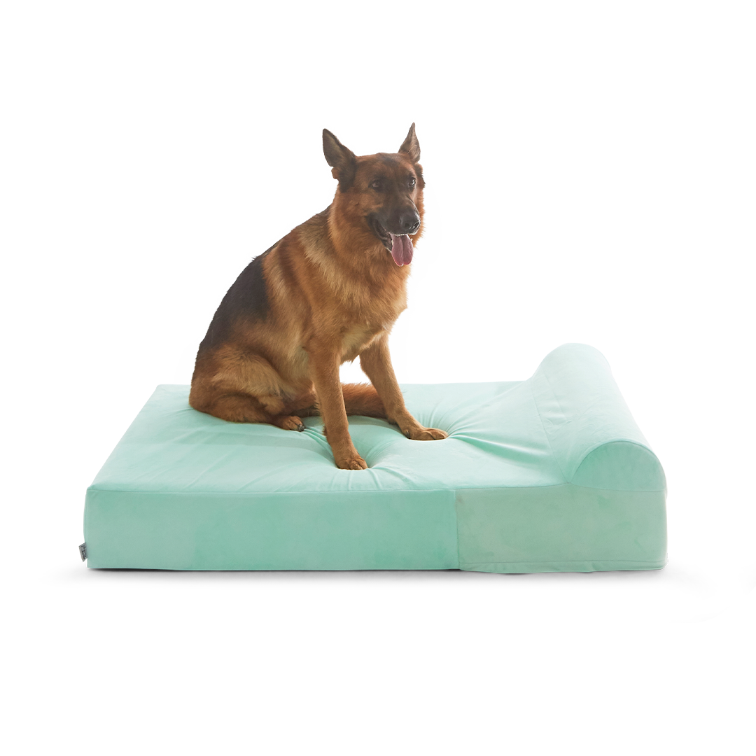 ที่นอนสุนัข Binky Barker