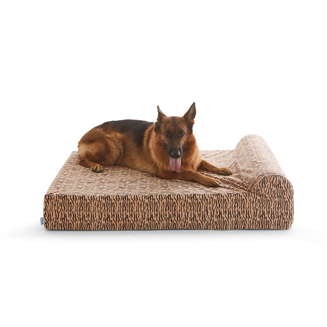 ที่นอนสุนัข Binky Barker