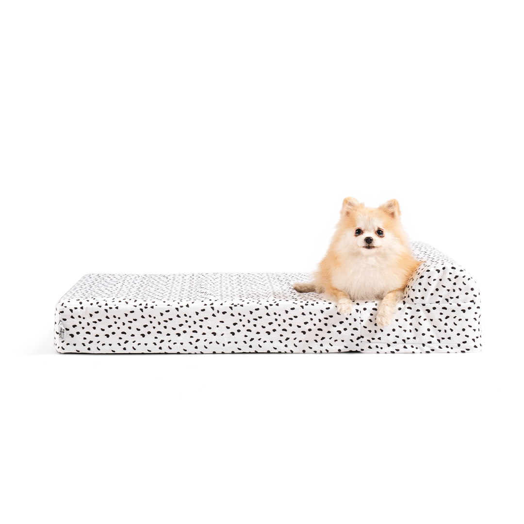 ที่นอนสุนัข Binky Barker