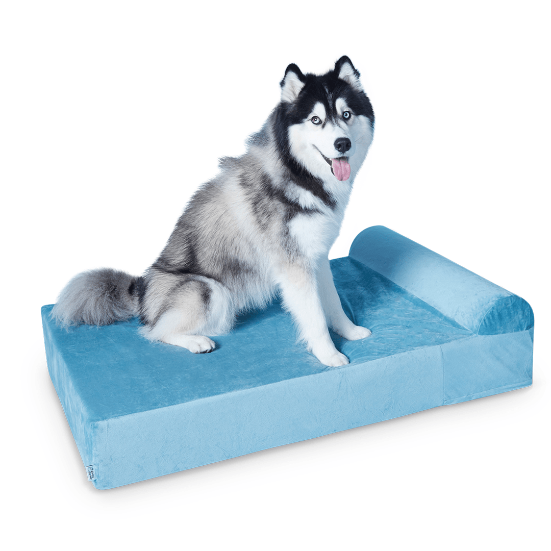Binky Barker Dog Bed Large / Baby Blue