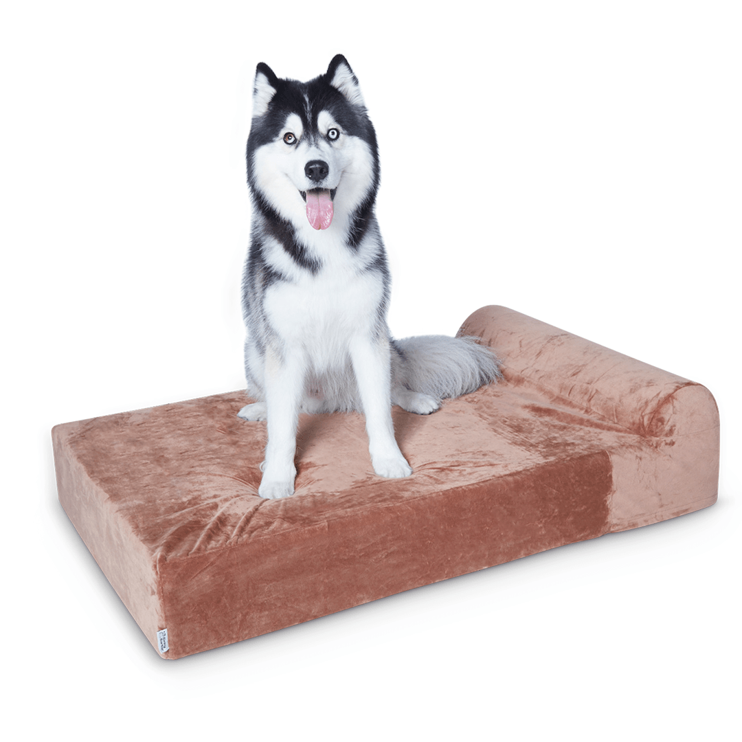 Binky Barker Dog Bed Large / Chocolate Brown