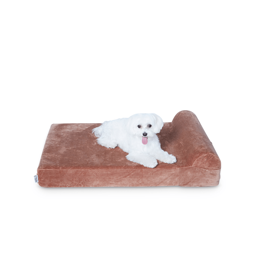 Binky Barker Dog Bed Medium / Chocolate Brown