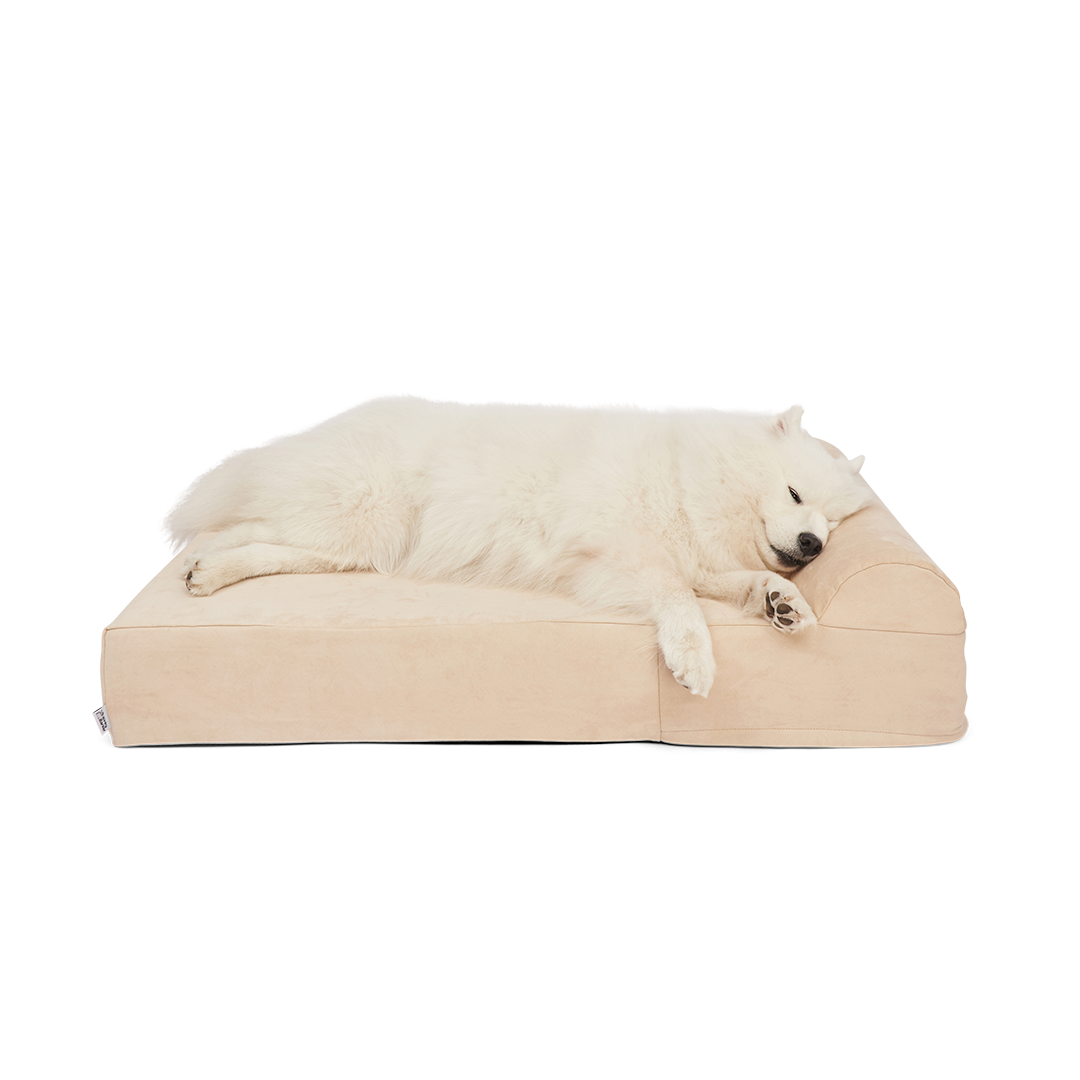 ที่นอนสุนัข Binky Barker