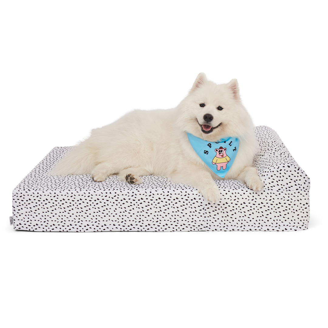 ที่นอนสุนัข Binky Barker