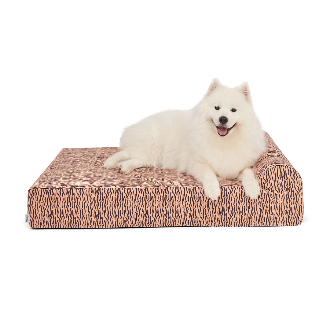 ที่นอนสุนัข Binky Barker