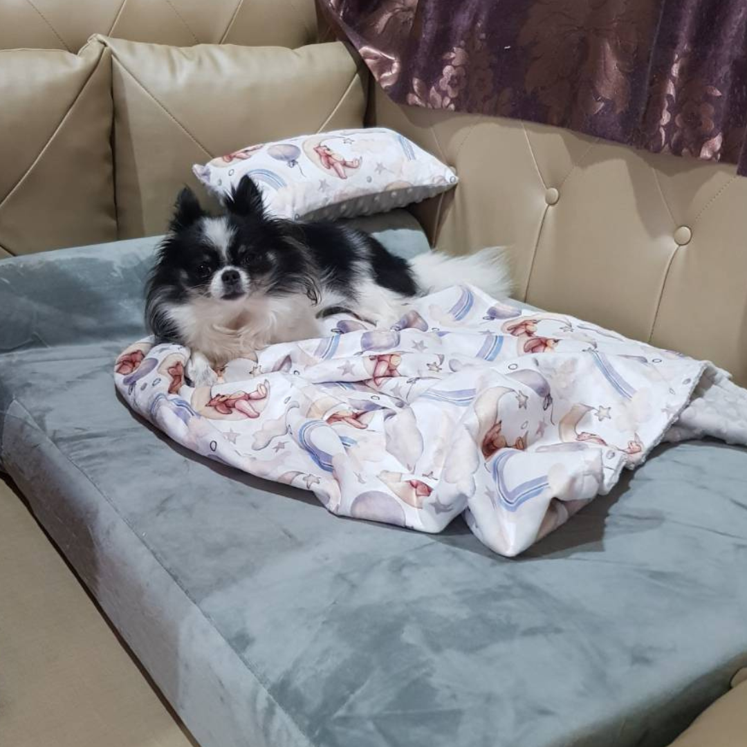 Dog Blanket and Pillow Set Baby Grade and Washable Binky Barker
