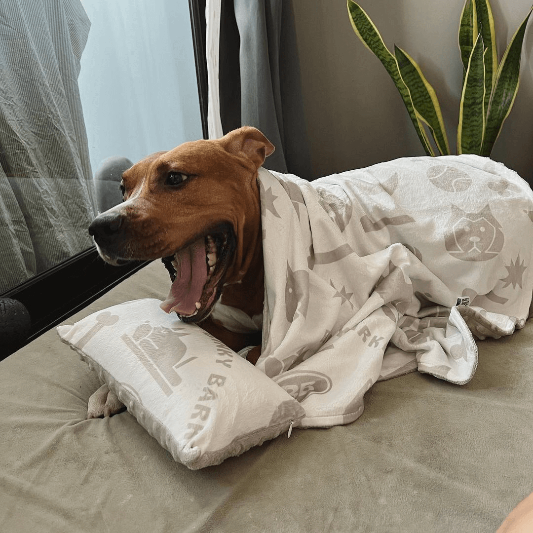 Dog pillow and blanket set hotsell