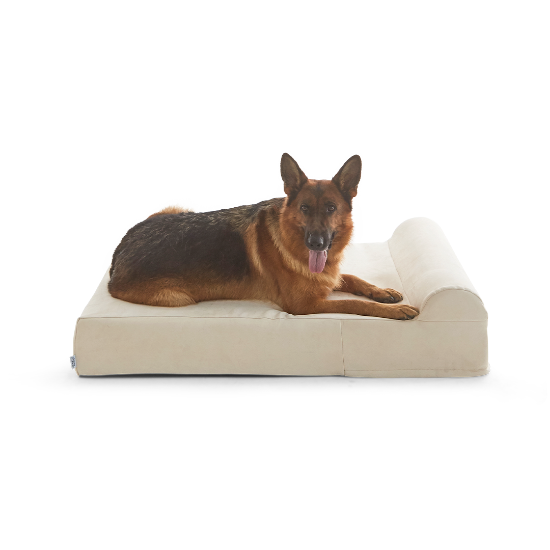 Binky Barker Dog Bed