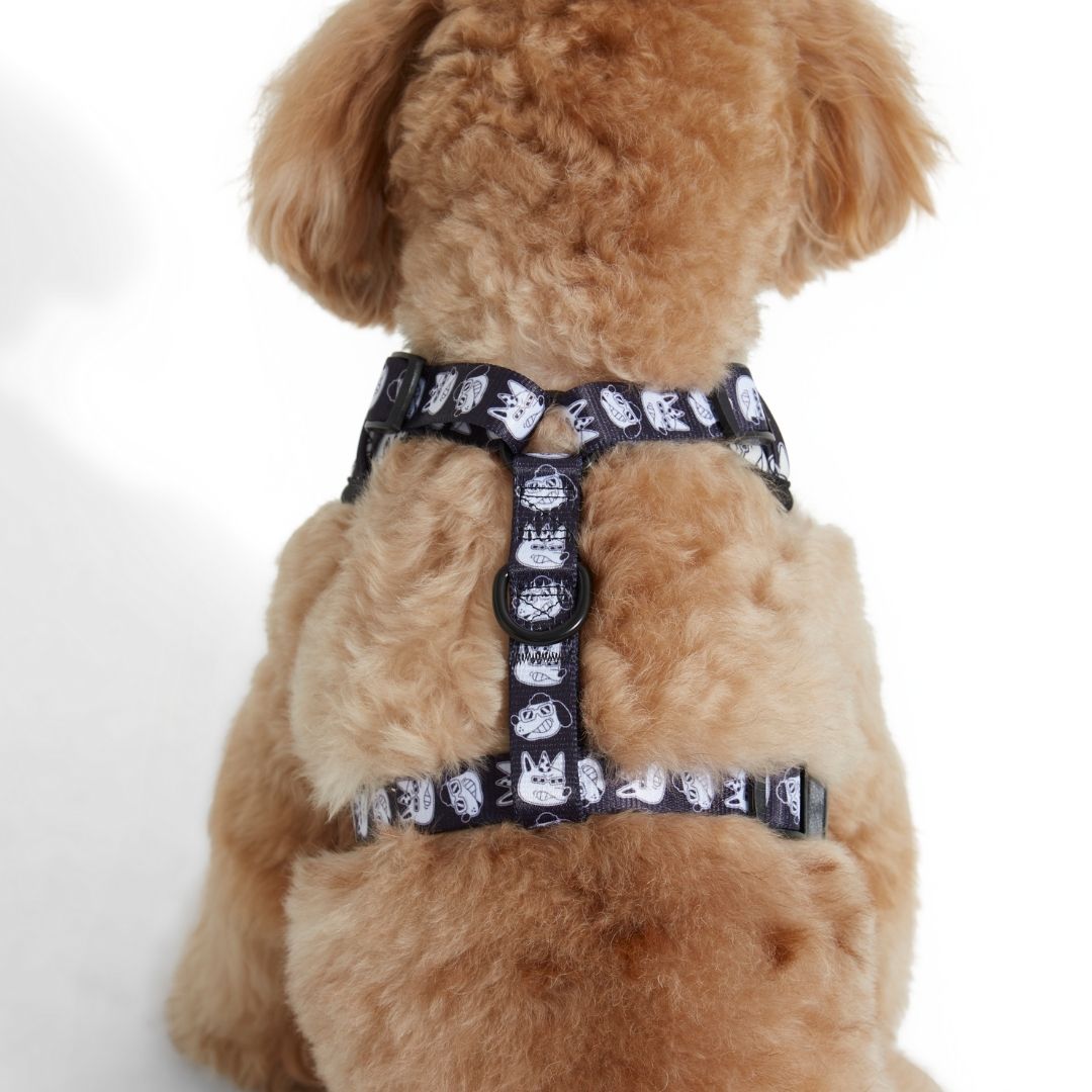 Adjustable Dog Harness and Leash Set - Cool Kid