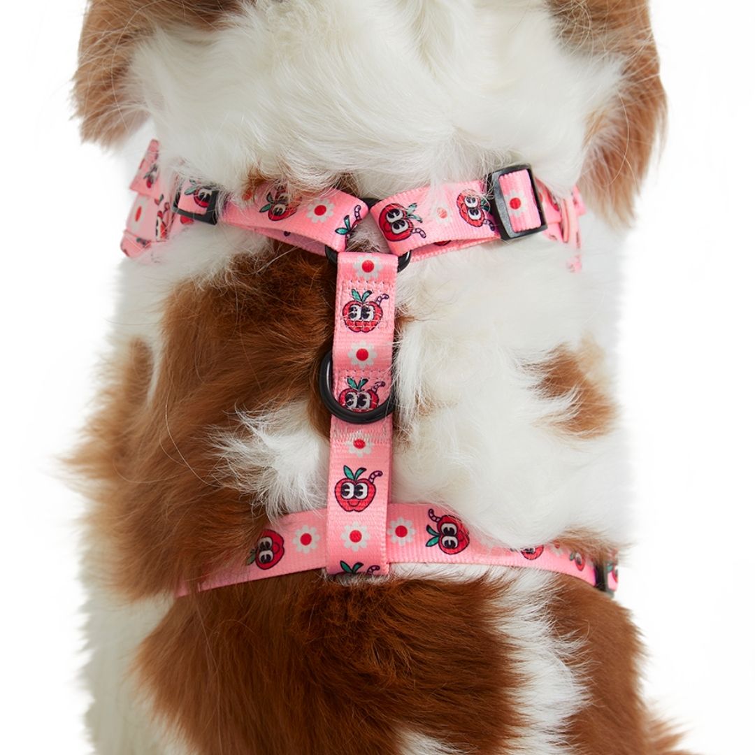 Adjustable Dog Harness and Leash Set - Chubby Cheeks