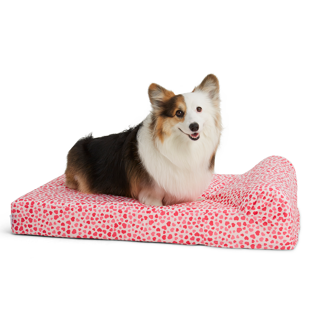 Fringe orthopedic dog bed large deals