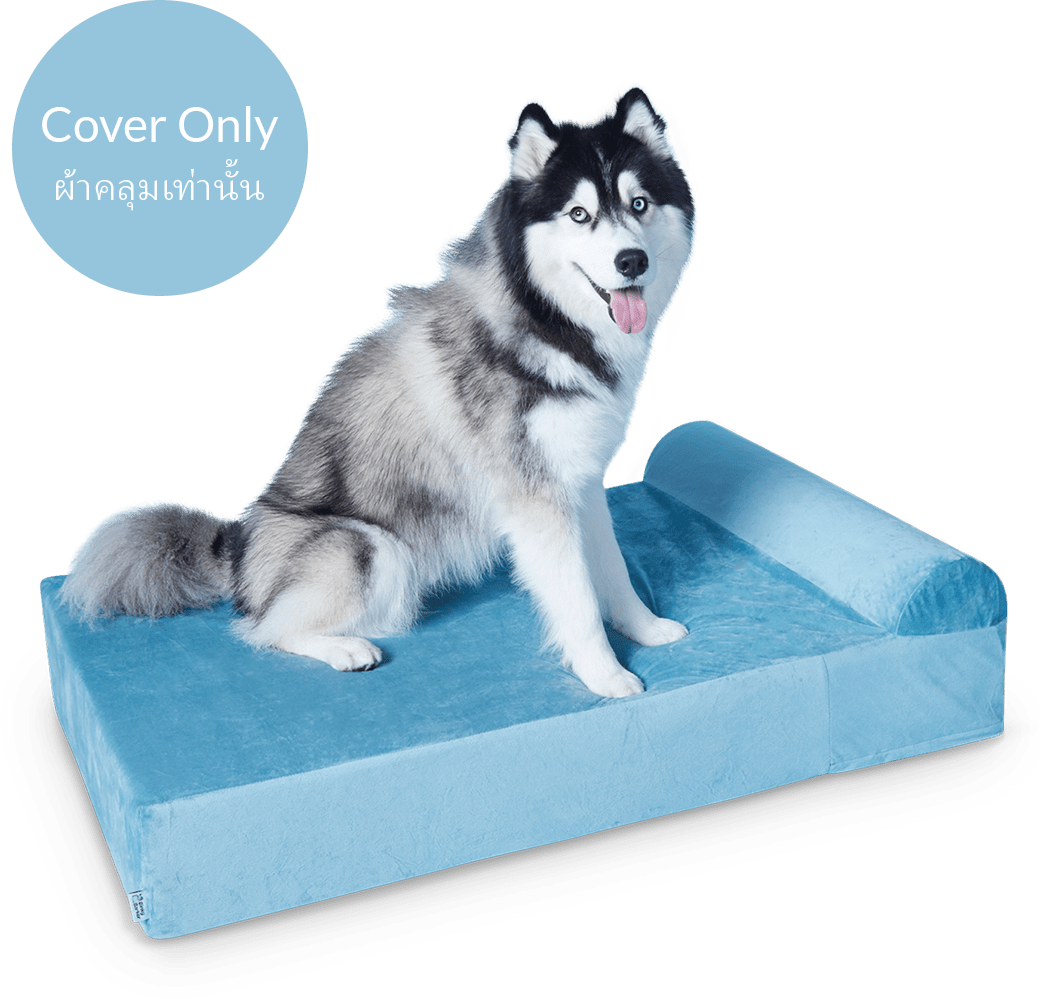 Dog Bed Cover Binky Barker