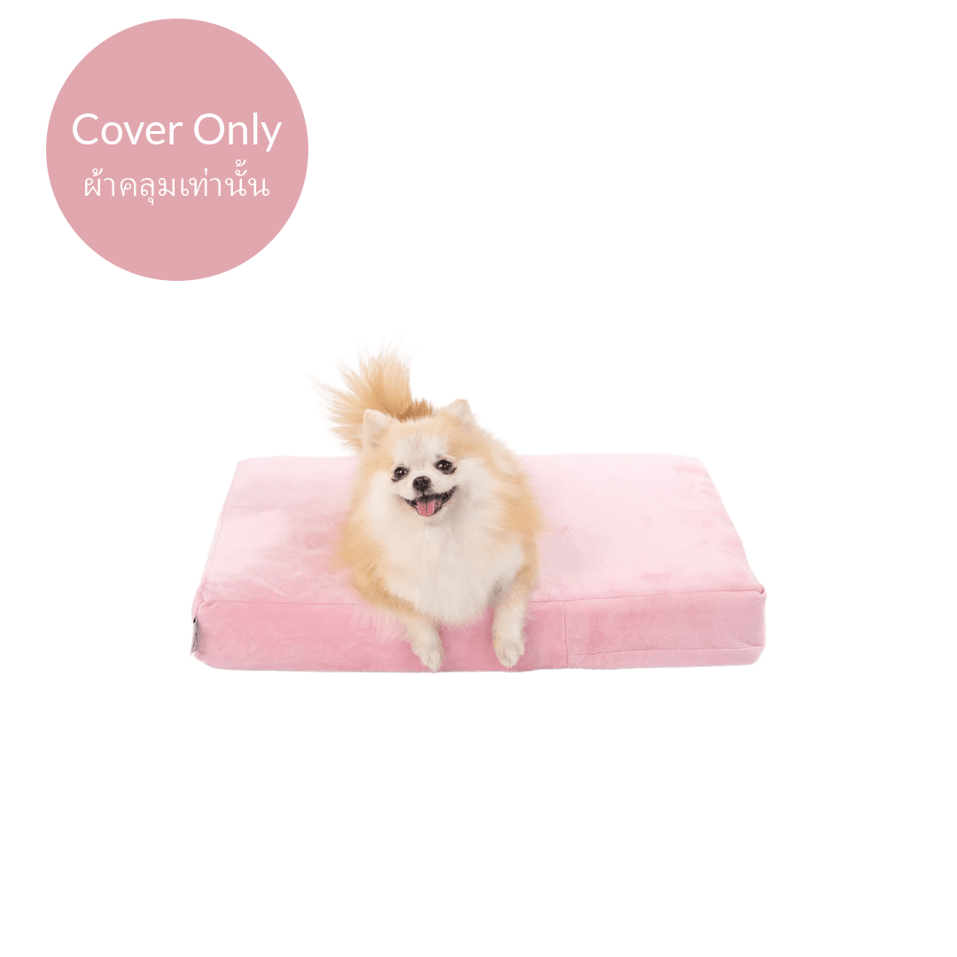 Binky Barker Bed Cover Small / Cotton Candy