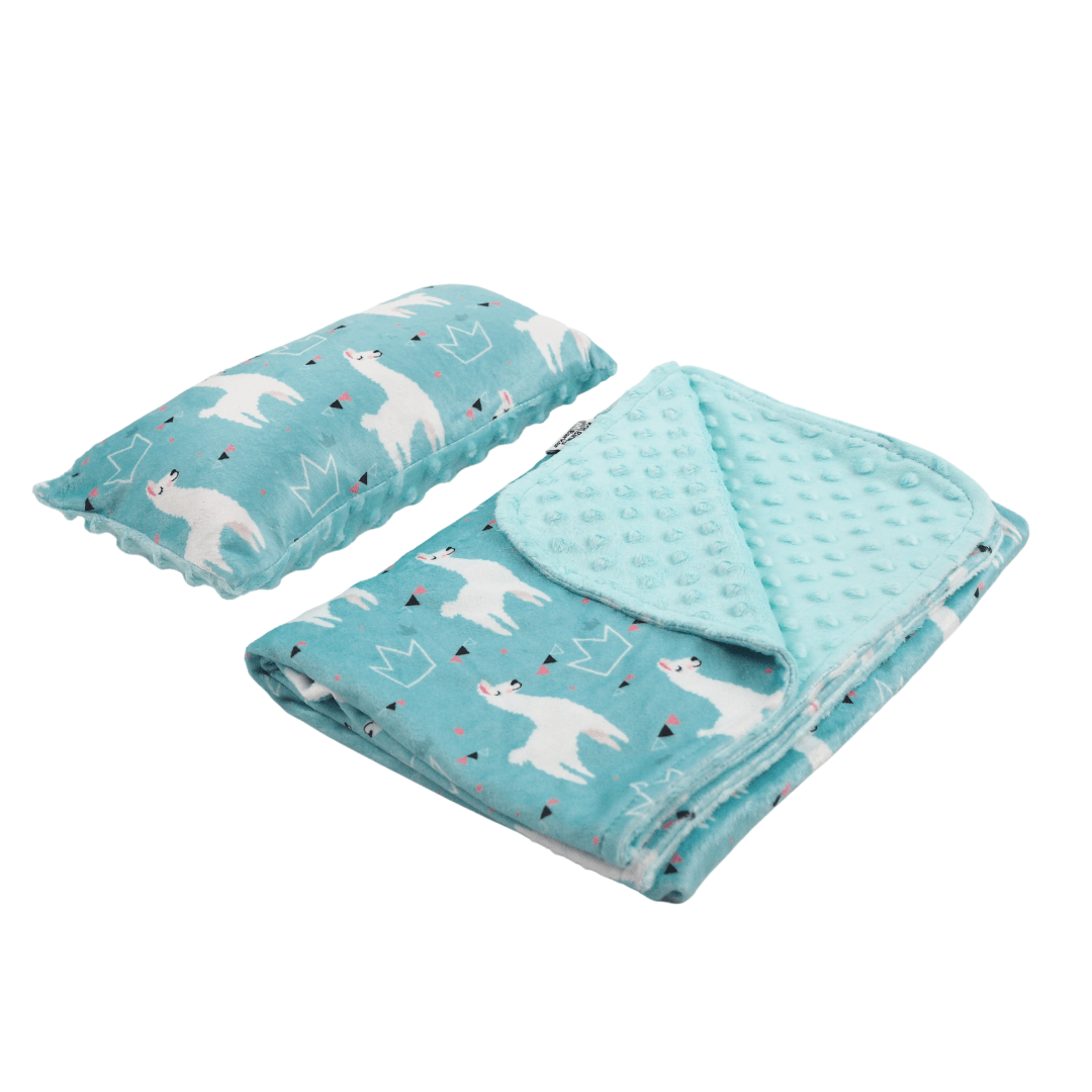 Baby blanket pillow clearance set