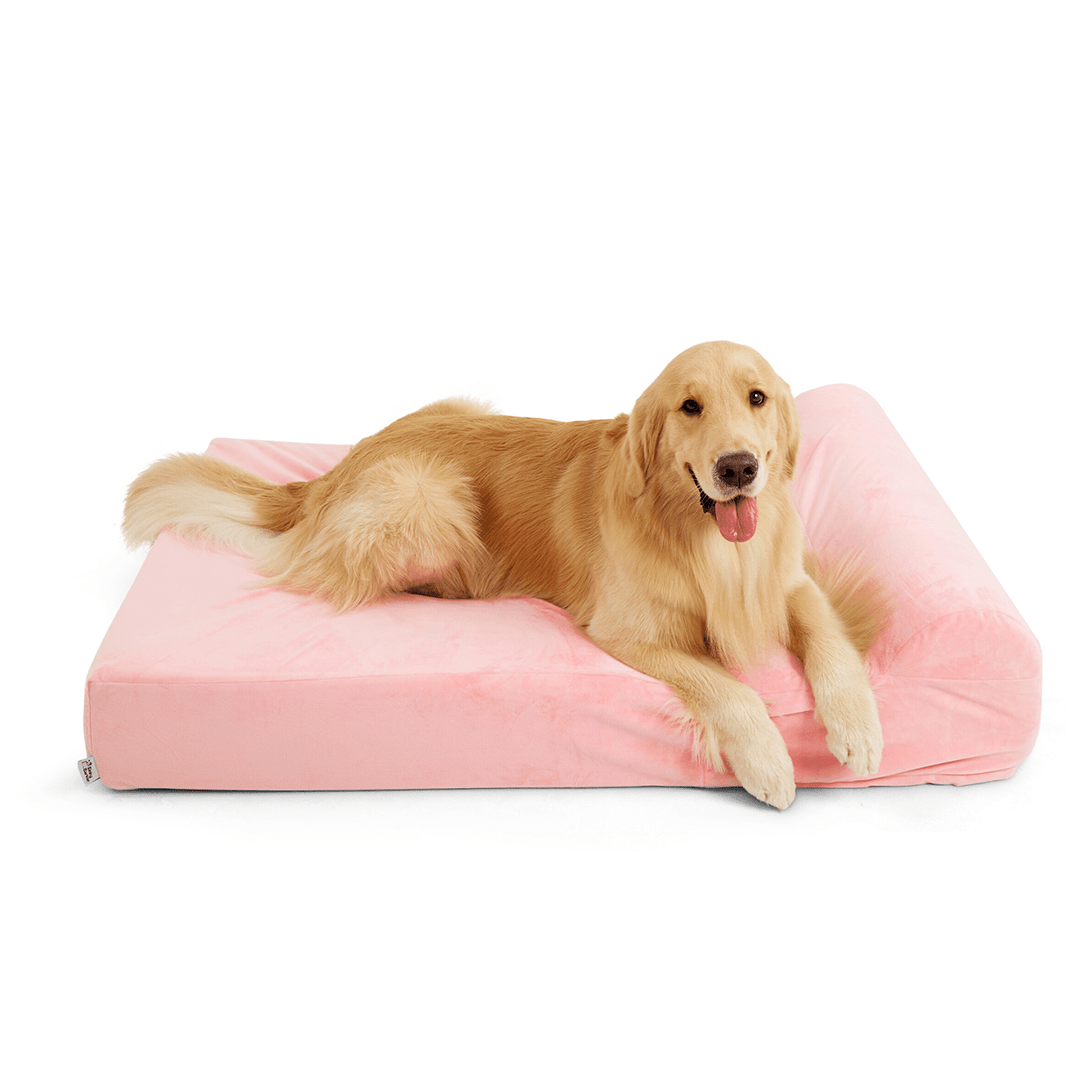 Binky Barker Dog Bed Large / Cotton Candy