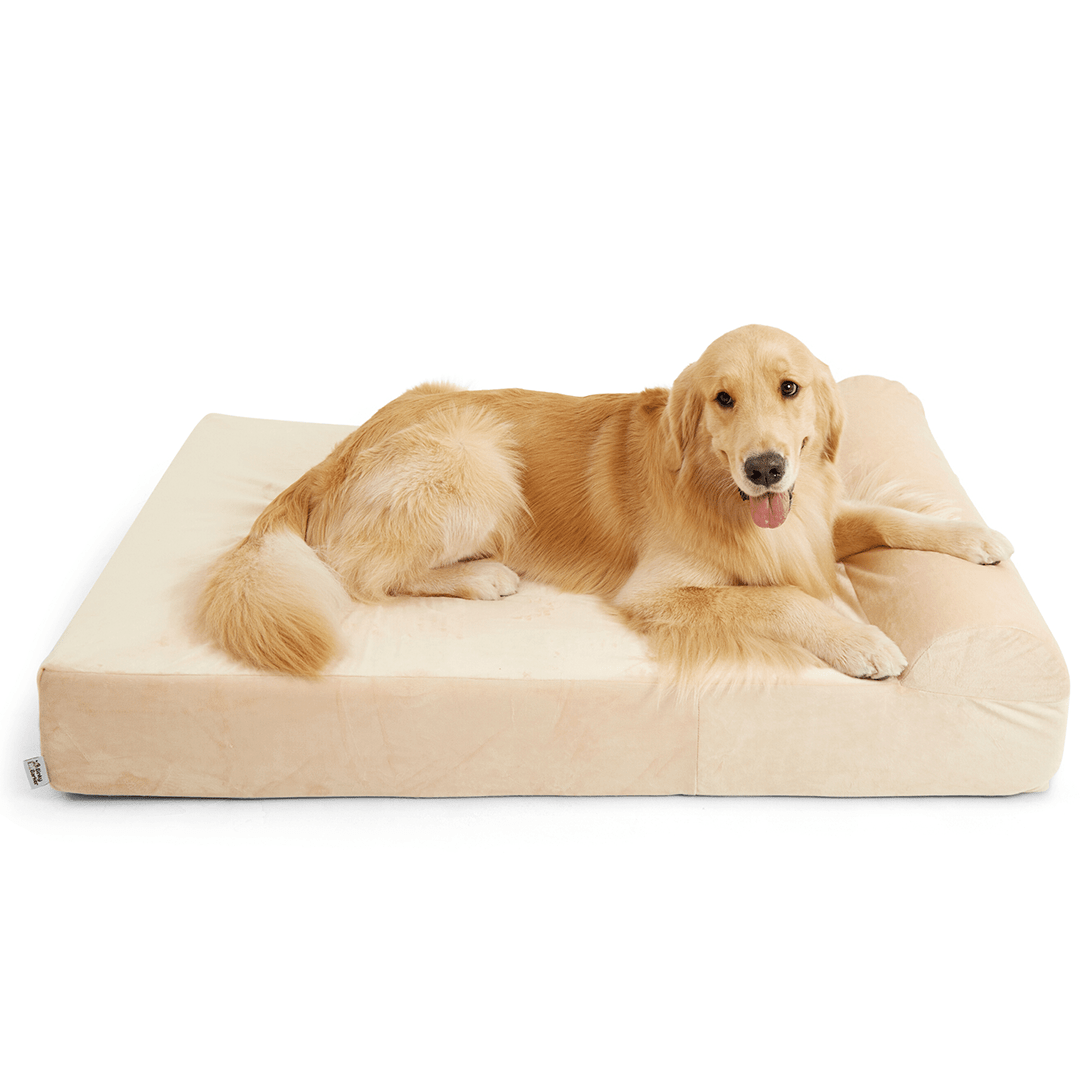 Binky Barker Dog Bed Large / Cream Puff