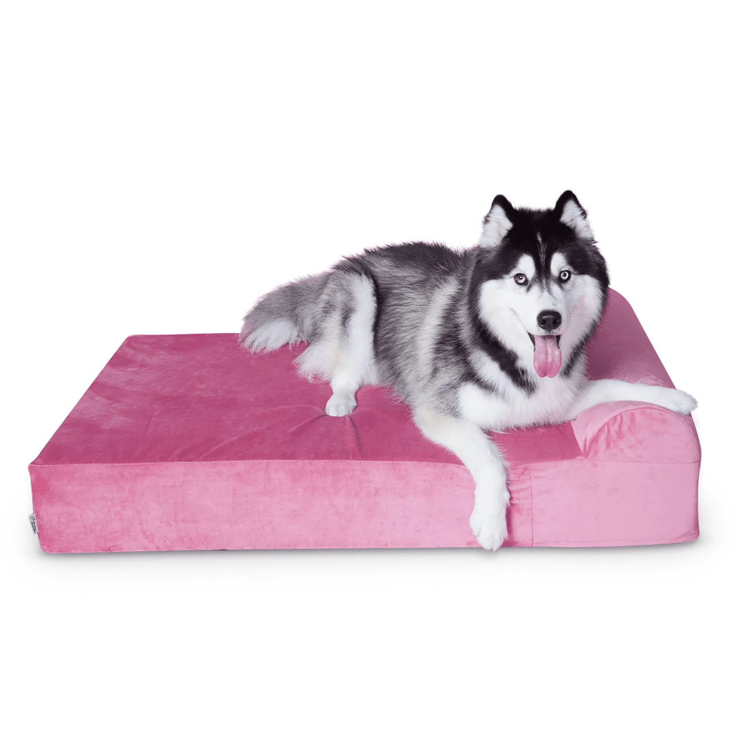 Binky Barker Dog Bed Large / Pretty in Pink