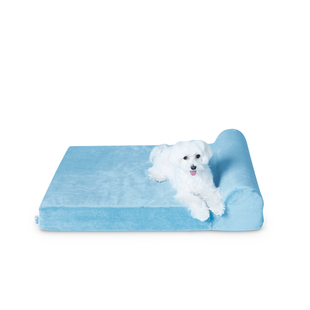 Binky Barker Dog Bed Medium / Baby Blue