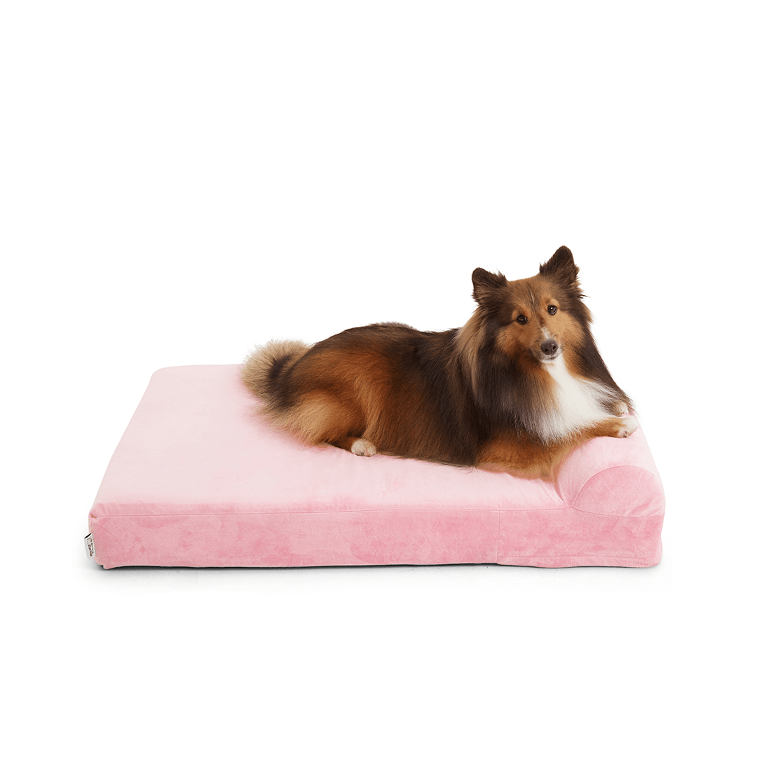 Binky Barker Dog Bed Medium / Cotton Candy