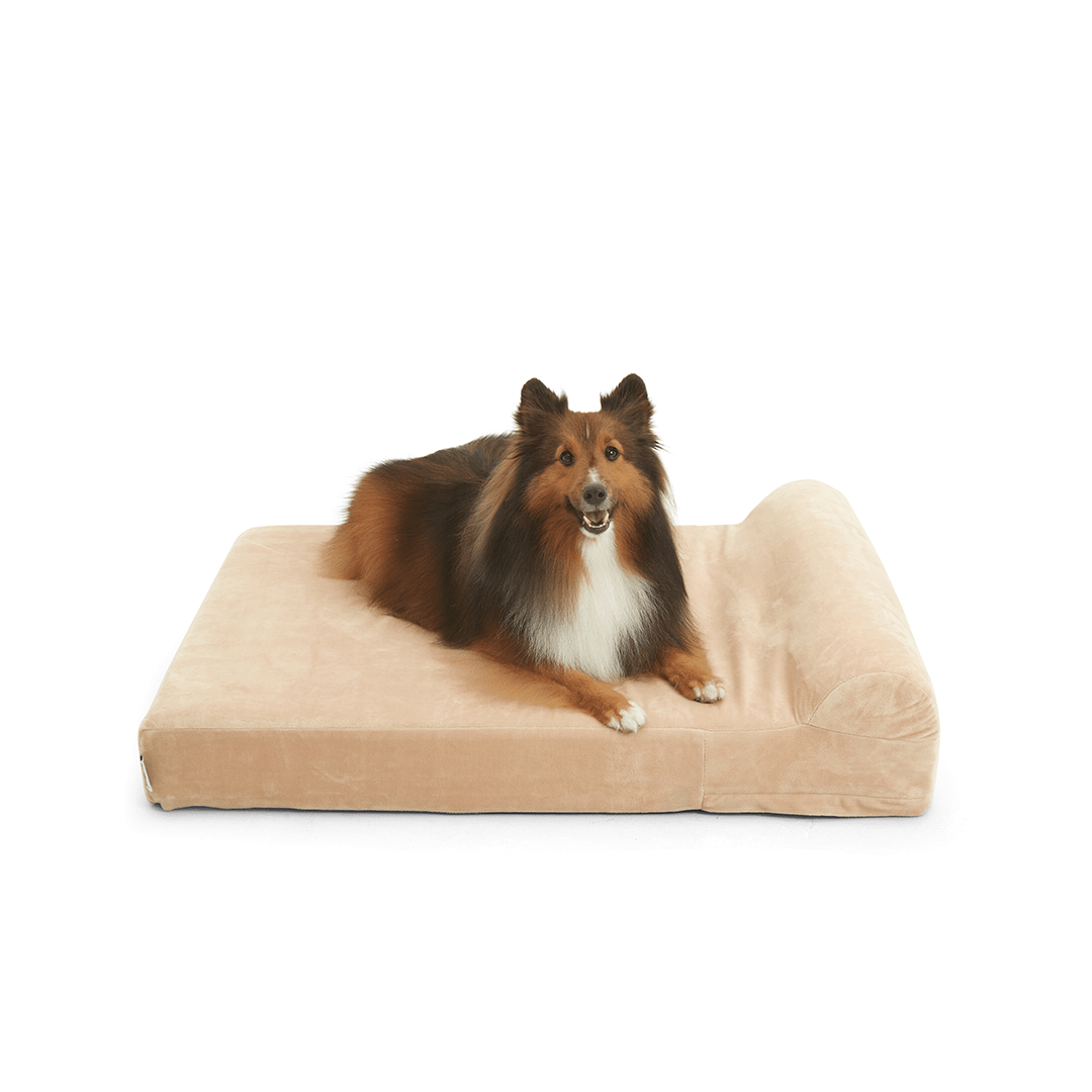 Binky Barker Dog Bed Medium / Cream Puff