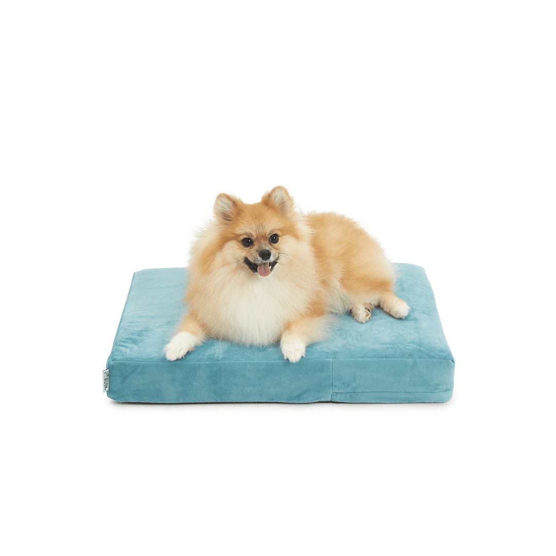 Binky Barker Dog Bed Small / Baby Blue