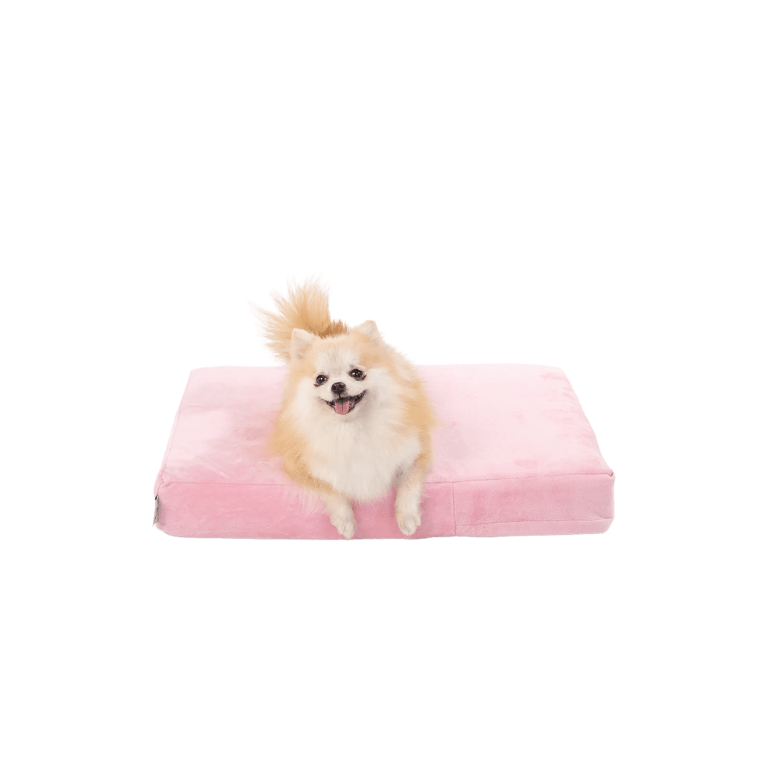 Binky Barker Dog Bed Small / Cotton Candy