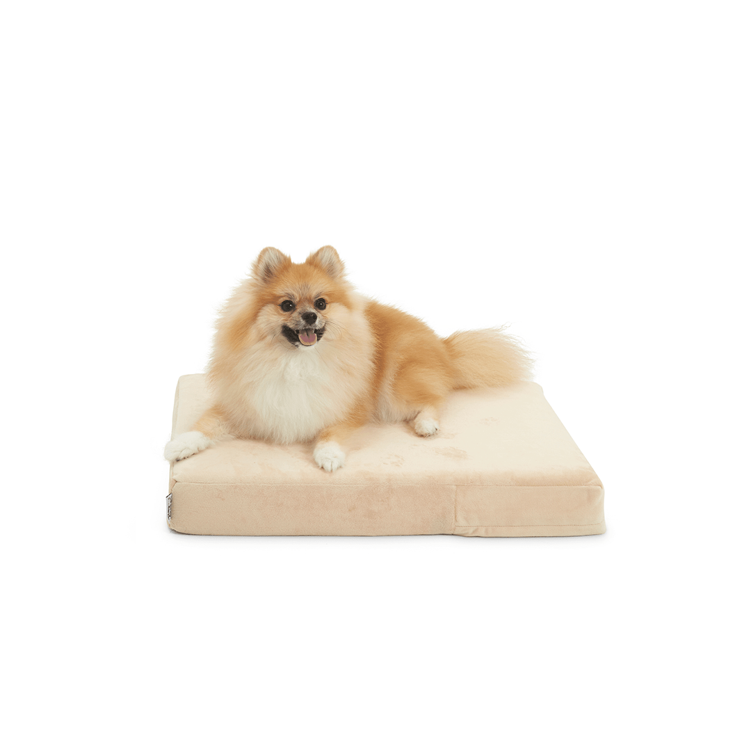 Binky Barker Dog Bed Small / Cream Puff