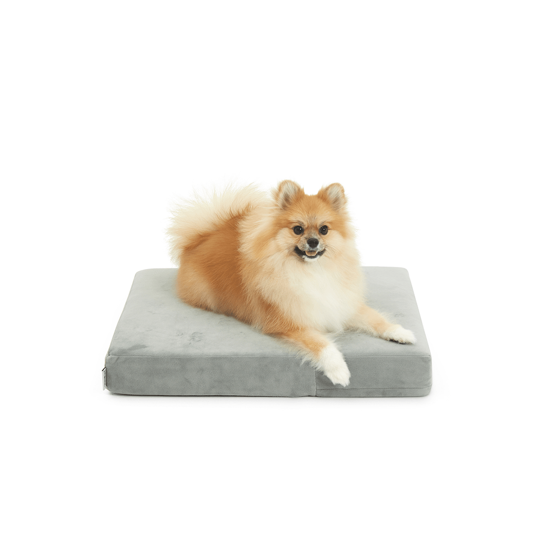 Binky Barker Dog Bed Small / London Grey