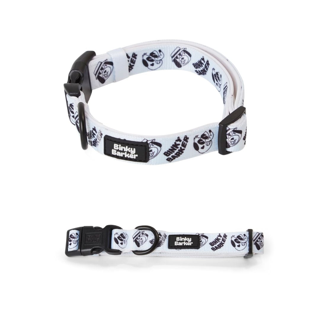 Dog Collar and Leash Set - Cool Kid