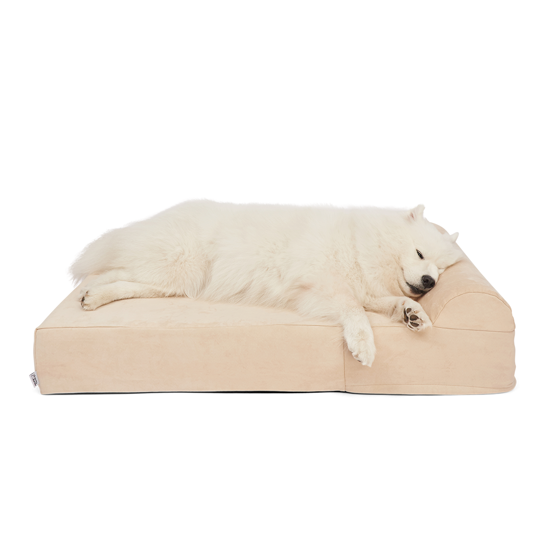 Big barker top dog bed uk